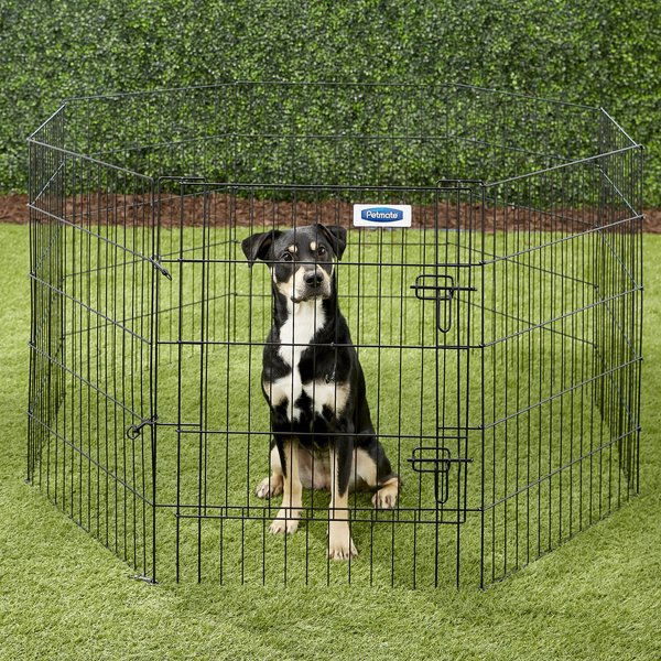 Show full view: Petmate 8-Panel Wire Dog Exercise Pen with Door, Black, Intermediate slide 1 of 7