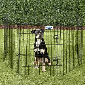 Petmate 8-Panel Wire Dog Exercise Pen with Door, Black, Intermediate