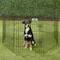 Show in main carousel: Petmate 8-Panel Wire Dog Exercise Pen with Door, Black, Intermediate slide 1 of 8