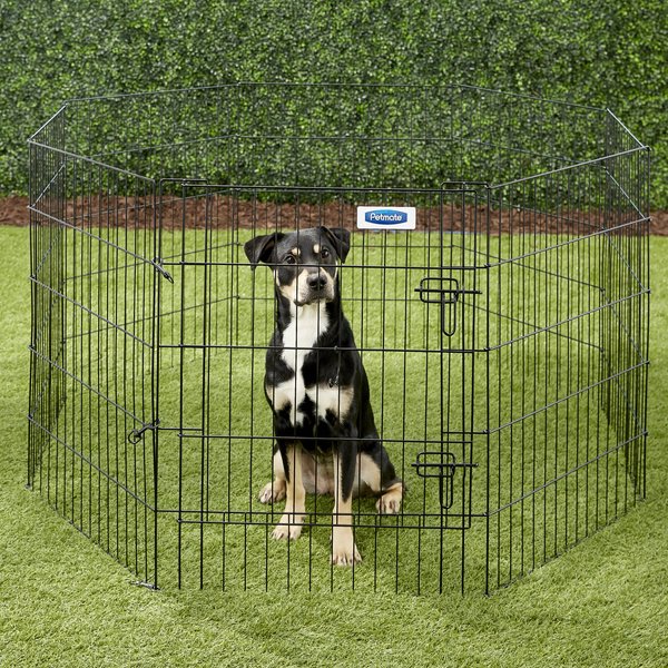 Show full view: Petmate 8-Panel Wire Dog Exercise Pen with Door, Black, Intermediate slide 4 of 7