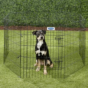 Petmate 8-Panel Wire Dog Exercise Pen with Door, Black, Intermediate