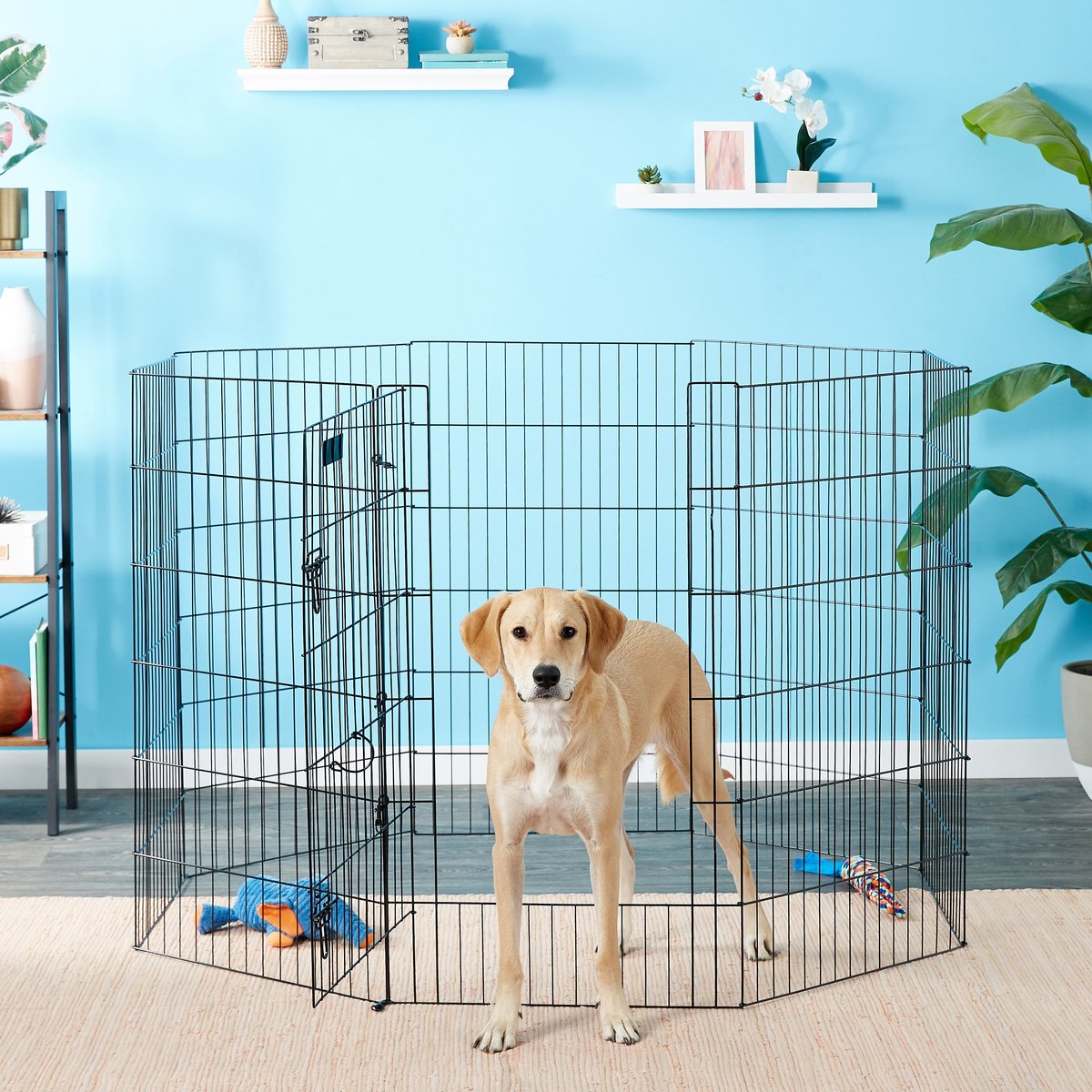 Petmate 8-Panel Wire Dog Exercise Pen with Door, Black, X-Large