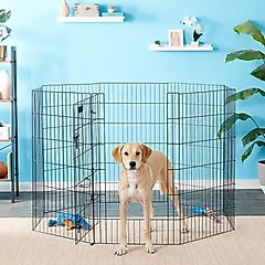 Petmate 8-Panel Wire Dog Exercise Pen with Door, Black, X-Large