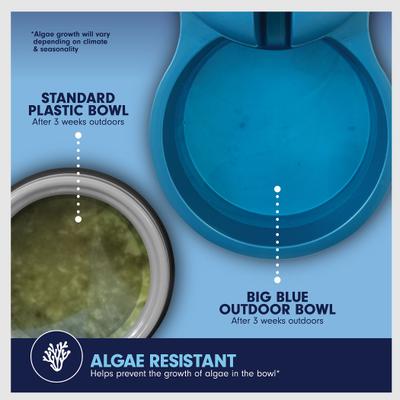 Show full view: Petmate Big Blue Outdoor Dog Water Bowl, 5-gal slide 6 of 11