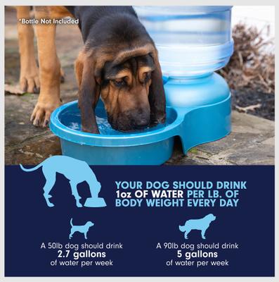 Show full view: Petmate Big Blue Outdoor Dog Water Bowl, 5-gal slide 8 of 11