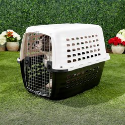 Petmate Compass Dog & Cat Kennel, White, Large