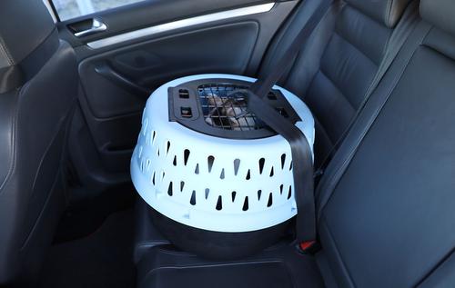 Show full view: Petmate Get A Round Ergonomic Airline Approved Dog & Cat Carrier, Clear Sky, 19-in slide 7 of 10