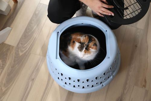 Show full view: Petmate Get A Round Ergonomic Airline Approved Dog & Cat Carrier, Clear Sky, 19-in slide 6 of 10