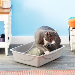Petmate Litter Pan, Gray, Large