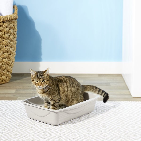 Show full view: Petmate Litter Pan, Gray, Medium slide 1 of 7
