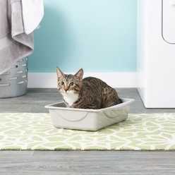 Petmate Litter Pan, Gray, Small