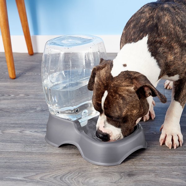 Show full view: Petmate Pearl Pet Cafe Waterer, Pearl Silver, 3-gal slide 3 of 5