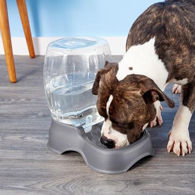 Show full view: Petmate Pearl Pet Cafe Waterer, Pearl Silver, 3-gal slide 4 of 6