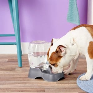 Petmate Pearl Pet Cafe Waterer, Pearl Silver, Small