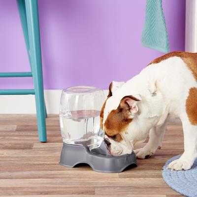 Show full view: Petmate Pearl Pet Cafe Waterer, Pearl Silver, Small slide 3 of 5