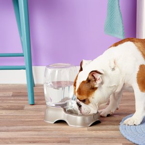 Petmate Pearl Pet Cafe Waterer, Tan, 0.75-gal