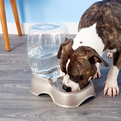 Show full view: Petmate Pearl Pet Cafe Waterer, Tan, 1.5-gal slide 3 of 5