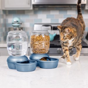 Petmate Pearl Replendish Waterer with Microban, Pearl Silver Gray, 0.5-gal