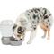 Show in main carousel: Petmate Pearl Replendish Waterer with Microban, Pearl Silver Gray, 2.5-gal slide 7 of 11