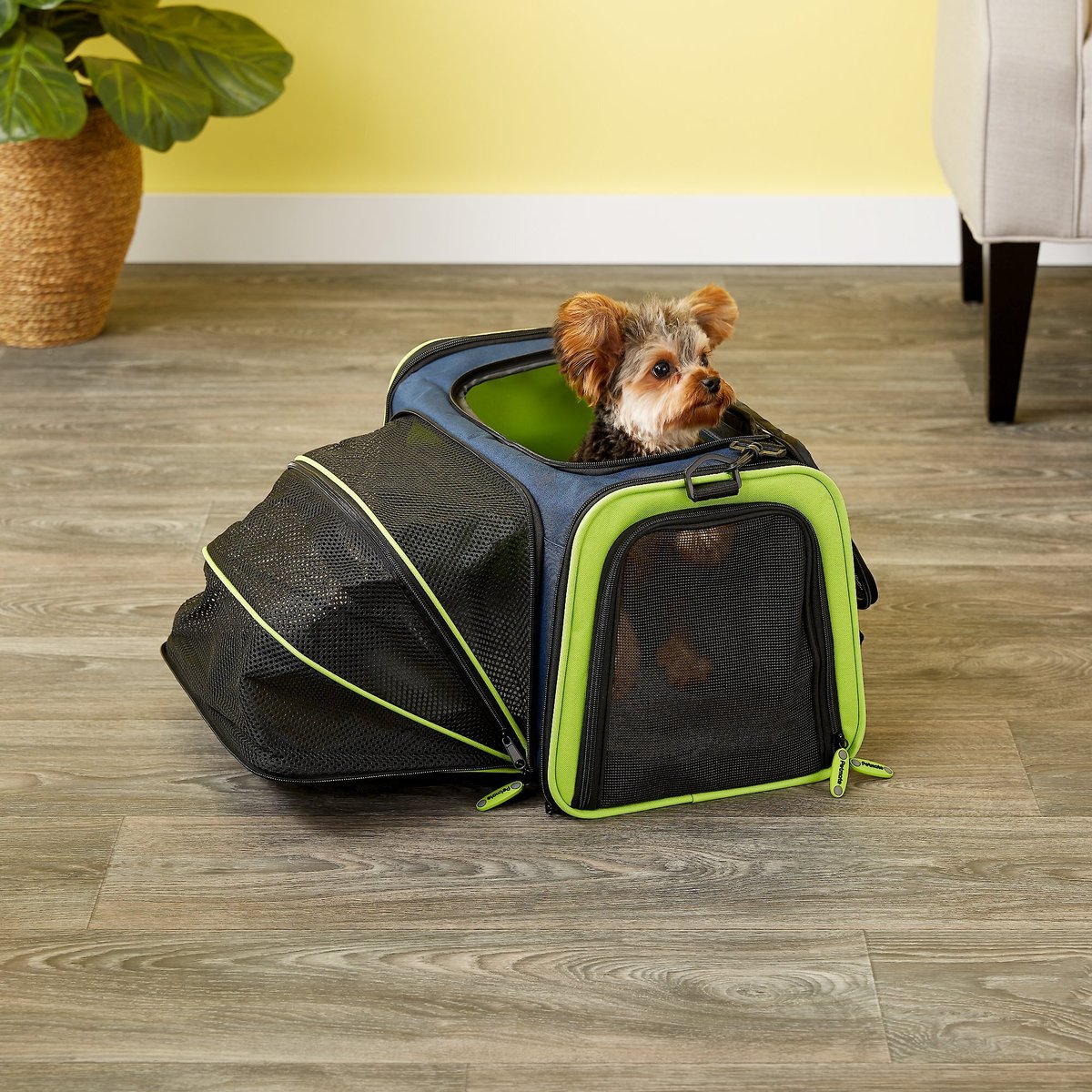 Petmate See & Stow Carrier for Dogs & Cats