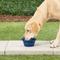 Show in main carousel: Petmate Silicone Round Collapsible Travel Pet Bowl, Navy Blue, 3-cup slide 2 of 8