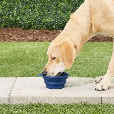 Show full view: Petmate Silicone Round Collapsible Travel Pet Bowl, Navy Blue, 3-cup slide 2 of 8