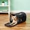 Show in main carousel: Petmate Soft-Sided Dog & Cat Carrier Bag, Black, up to 10-lbs slide 1 of 11
