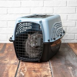 Petmate Two Door Top Load Dog & Cat Kennel, Blue, 24 inches, up to 15-lbs slide 2 of 5