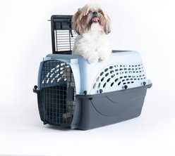 Petmate Two Door Top Load Dog & Cat Kennel, Blue, 24 inches, up to 15-lbs