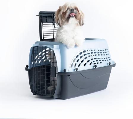 ミーパ　ワイルドプラネット&ブループラネット2個セット Petmate Two Door Top Load Dog & Cat Kennel (Free Shipping) | Chewy