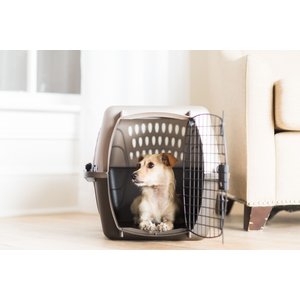 Petmate Two Door Top Load Dog & Cat Kennel, Tan, 24 inches, up to 15-lbs