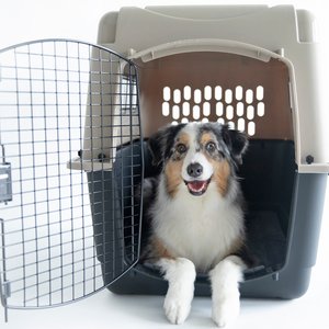 Petmate Ultra Vari Dog Kennel, Taupe/Black, 36-in, 50-70-lbs