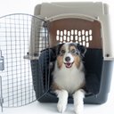 Petmate Ultra Vari Dog Kennel, Taupe/Black, 36-in, 50-70-lbs