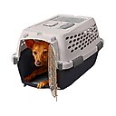 Petmate Vari Dog & Cat Kennel, Tan, 19-in, up to 10-lbs