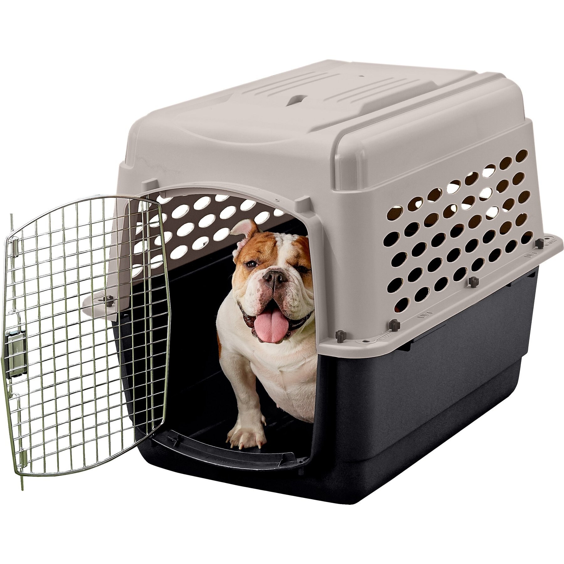 PETMATE Vari Dog & Cat Kennel, X-Large - Chewy.com