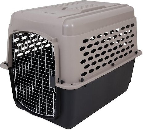 Xxl Dog Crate (Free Shipping) | Chewy