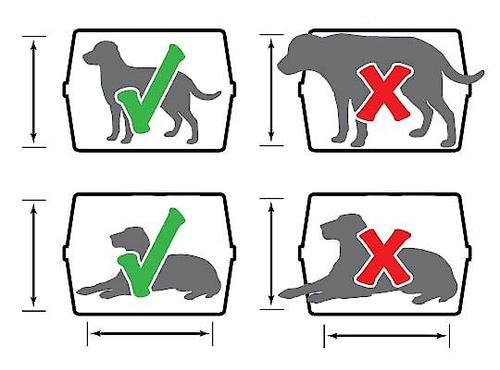 Show full view: Petmate Vari Portable Dog & Cat Kennel, Pearl Pink/Black, 19-in, up to 10-lbs slide 7 of 11