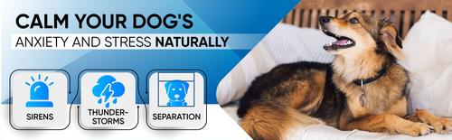 Show full view: PetMedics Premium Pet Sound Soother with Noise Detecting Microphones, Blue slide 3 of 7