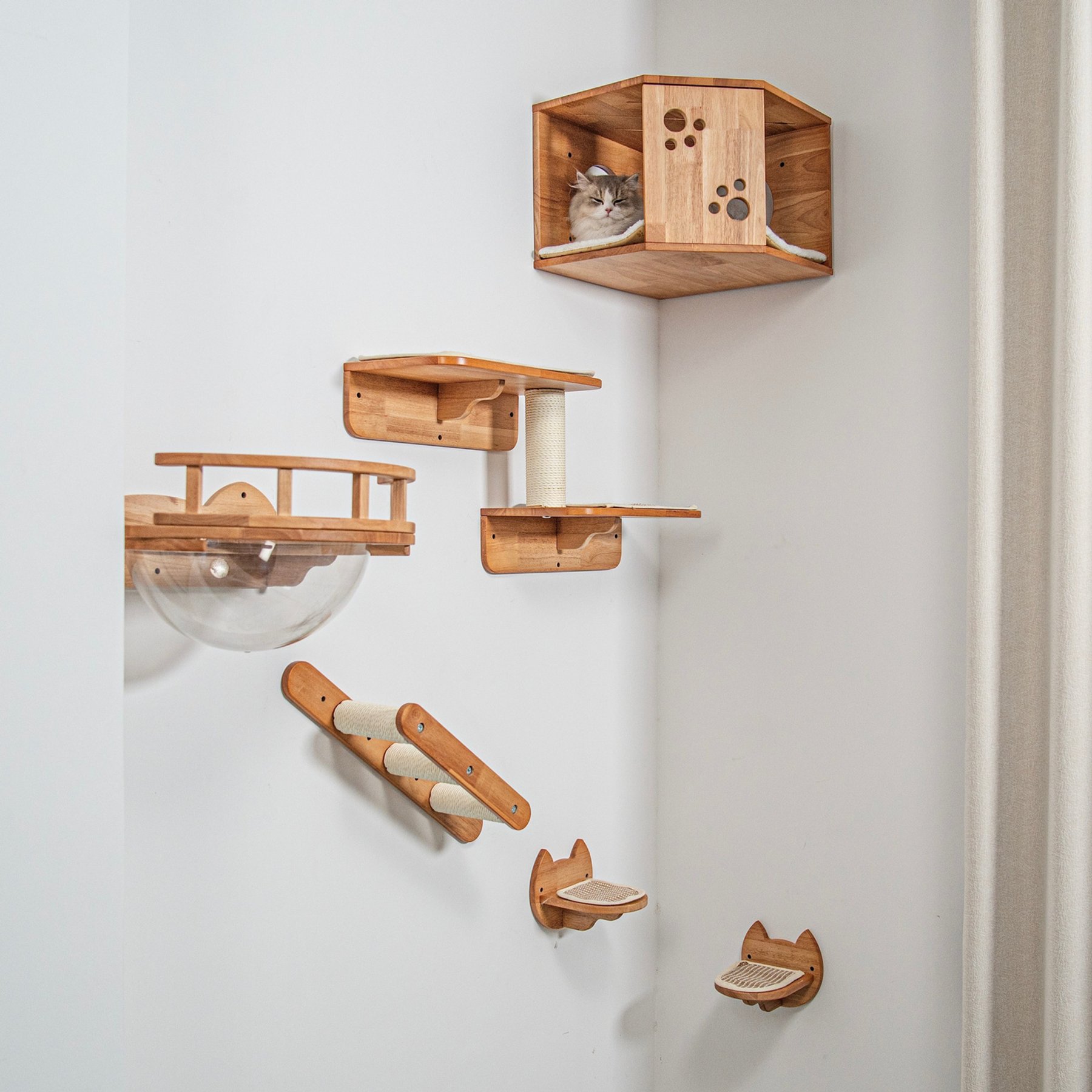 PETOMG Vertical Corner Wall-Mounted Furniture Set with Bubble Perch, Ladder & Scratching Post, Natural Wood Modern Cat Wall Shelves, Brown