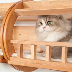 PETOMG Wall-Mounted Elevated Hideaway, Natural Wood Tunnel Cat Wall Shelves, Large, Brown slide 2 of 6