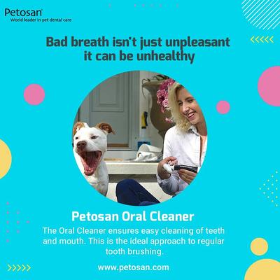 Show full view: Petosan Silent Power Sonic Replacement Head, Large slide 3 of 3