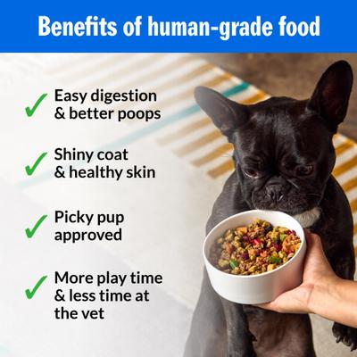 Show full view: PetPlate Human Grade Chompin Chicken Entree Fresh Dog Food, 12-oz cup, case of 12 slide 5 of 11