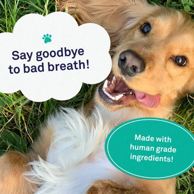 Show full view: Petpost Dental Solution Dog Dental Water Additive, 16-fl oz bottle slide 4 of 7