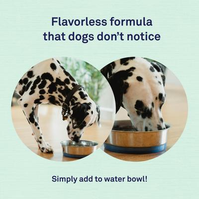 Show full view: Petpost Dental Solution Dog Dental Water Additive, 16-fl oz bottle slide 5 of 7
