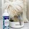 Show in main carousel: Petpost Dental Solution Dog Dental Water Additive, 16-fl oz bottle slide 7 of 7