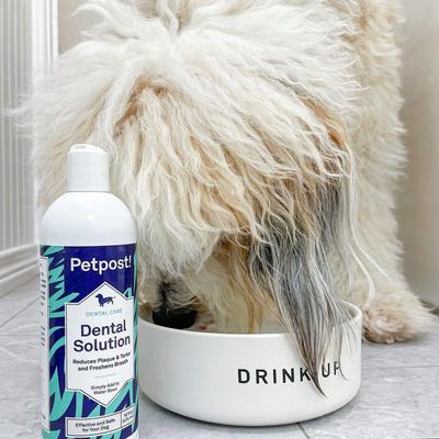 Show full view: Petpost Dental Solution Dog Dental Water Additive, 16-fl oz bottle slide 7 of 7