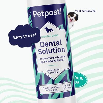 Show full view: Petpost Dental Solution Dog Dental Water Additive, 16-fl oz bottle slide 6 of 7