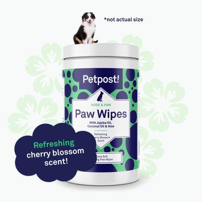 Show full view: Petpost Dog Paw Wipes, 70 count slide 5 of 9