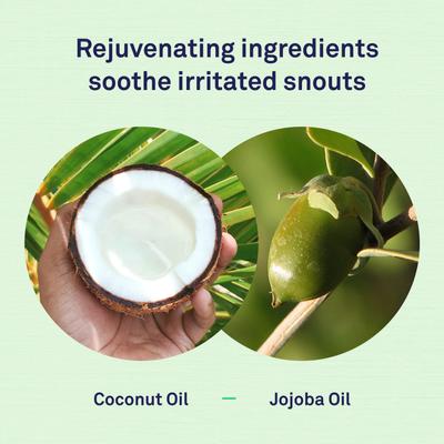 Show full view: Petpost Dog Snout Balm with Jojoba & Coconut Oil, 0.64-fl oz slide 4 of 6