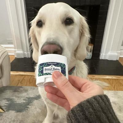 Show full view: Petpost Dog Snout Balm with Jojoba & Coconut Oil, 0.64-fl oz slide 6 of 6